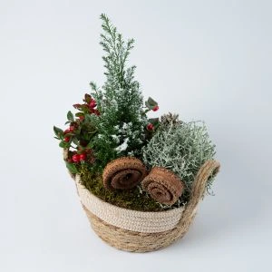 Gaultheria Kerststuk