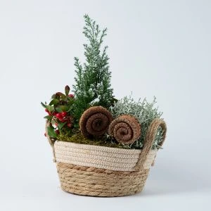 Gaultheria kerststuk