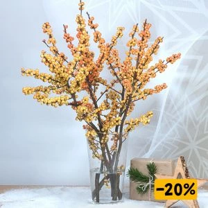 Gele Ilex takken