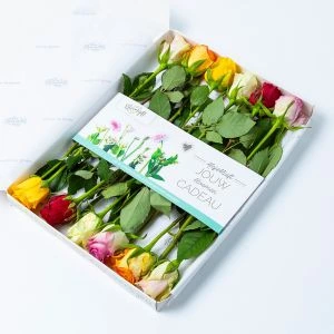 Gemengde brievenbusrozen (12 rozen)