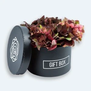 Hortensiataartje bordeaux rood in geschenkdoos