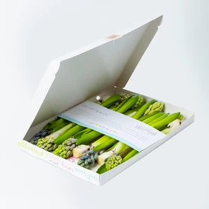 Hayacinten brievenbusbloemen