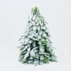 Kerstboom met sneeuw 40cm