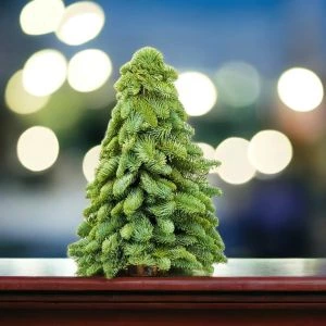 Kerstboompje op Ronde Voet