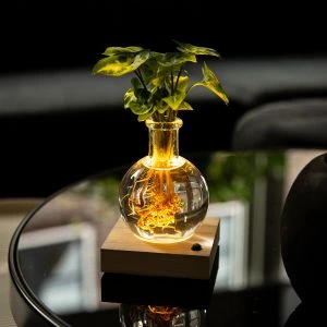 Lichtplantje Pixie