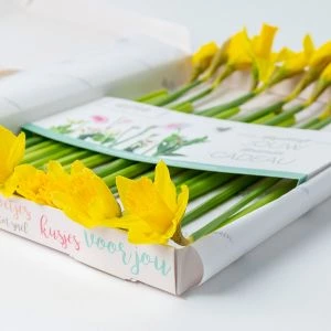 Brievenbus Narcissen | 20st