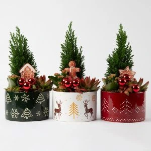 Picea kerstcreatie inclusief kerstpot