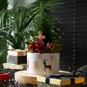 Picea Kerststuk Creatie