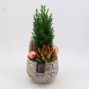 Conifeerboompje kerstcreatie