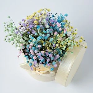 Regenboog Bloementaartje