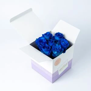 Rozentaart Blue Moon