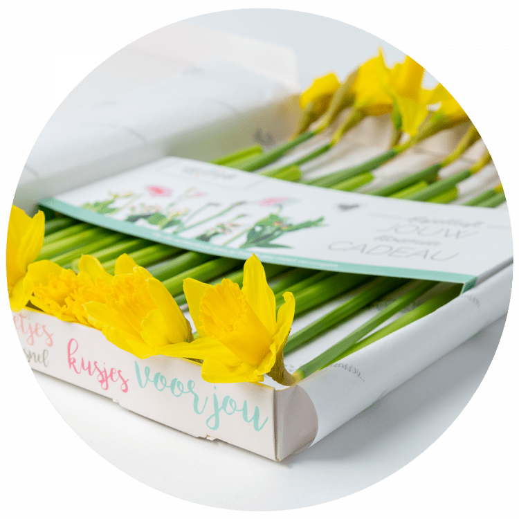 Paas brievenbusbloemen