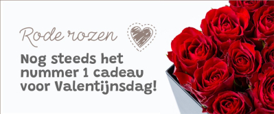 Waarom rozen nog steeds hét Valentijnscadeau zijn?