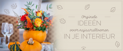 Originele ideeën voor najaarsbloemen in je interieur