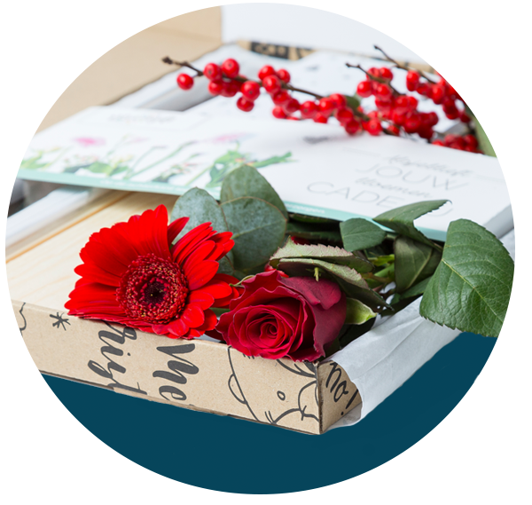 Kerst brievenbus cadeaus images