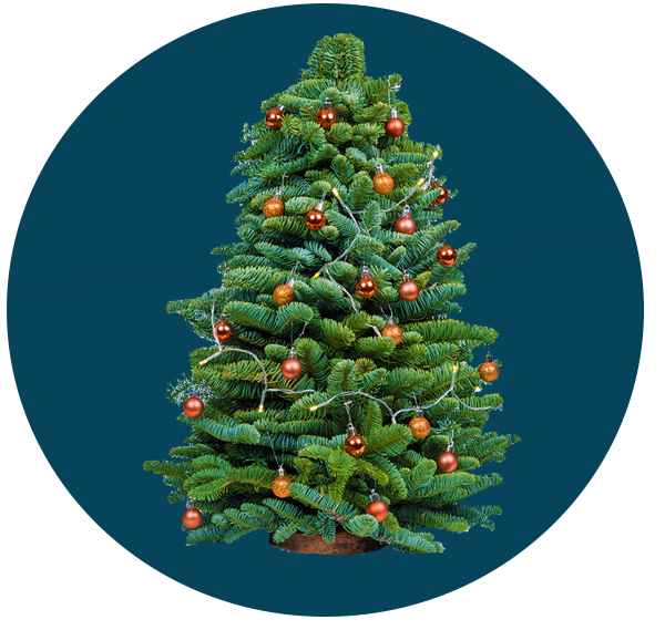 Kerstboompjes images