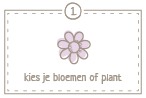 Stap 1 kies je bloemen