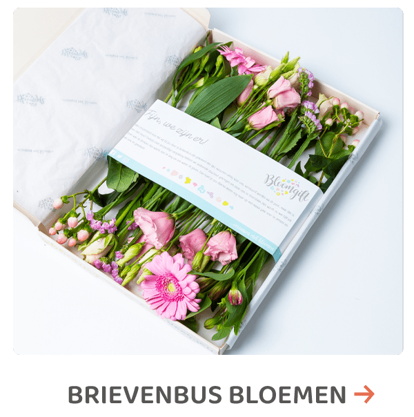 Brievenbus bloemen