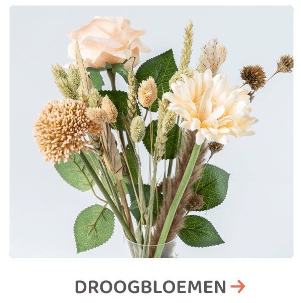 Droogbloemen