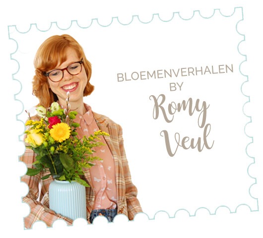 Blogschrijfster Romy Veul